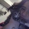 love lilly