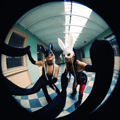 micyvid x ivv.lmtd