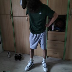 criceto