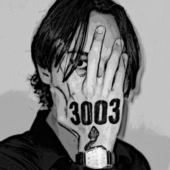 3003