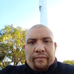 Vaden
