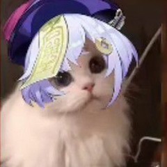 ✨qiqi ✨