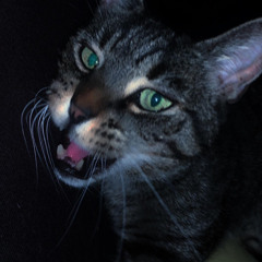 ƑʉͫcͧкͭιͪηͣAngel🖤