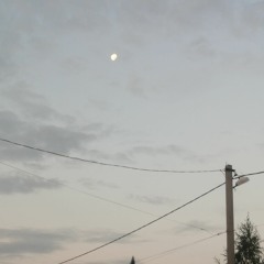 Vladka