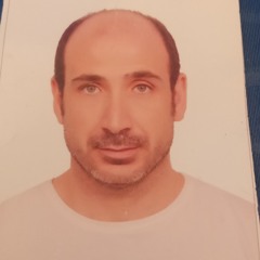 Mohamed Wafa