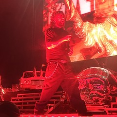 oddy nuff da snow leopard