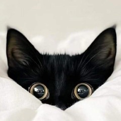 Hellen Kaya Kárníková