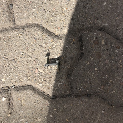 98155578920