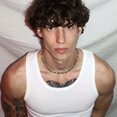 VINNIE V