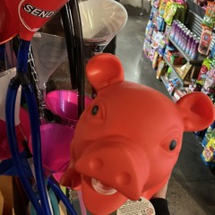 Ham
