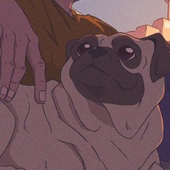 Chill Pug