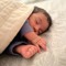 HamiD