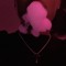 prettyboydoperc$