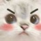 miauxd