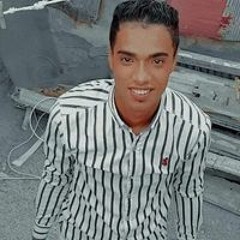 Hema El Gafary