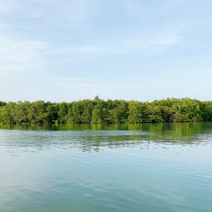 Duc Nho Sunset