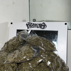 qxesh