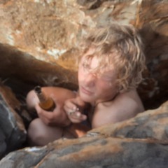 Willem van Zwetselaar