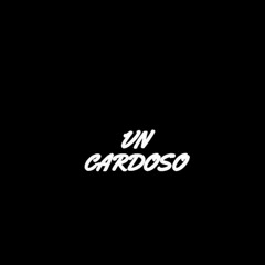 VN CARDOSO