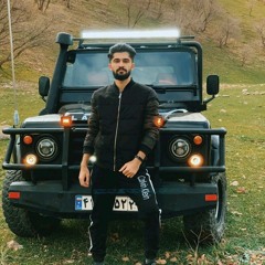 alireza purmeher