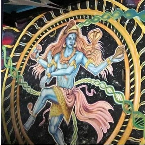 cycle adi