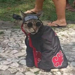 Vu Tu