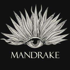 The Mandrake