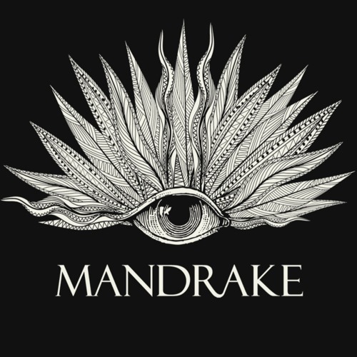The Mandrake’s avatar