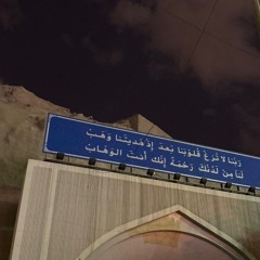 شهد شكري