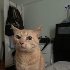 zoe