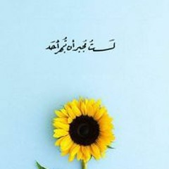 Yasmeen Elnagar
