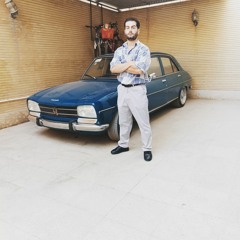 hamedamani