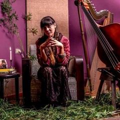 Martha Palacio A