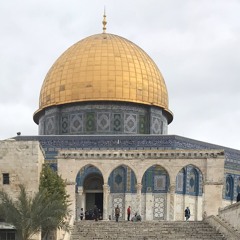 وسام رجوب Wesam Rjoub