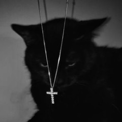 COUNT DRACULA