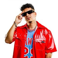 DJ SALGUEIRINHO - Ô REI DA FUZARCA