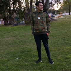 Gustavo leal