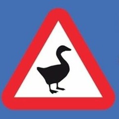 N27