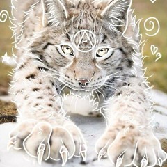 lynxhuman0x