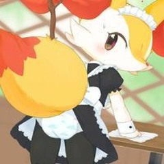 Shade Fox