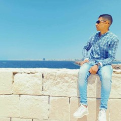 Mahmoud Elkenawey