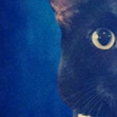 ne trebuie un nume sincer