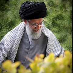 Al Farsi