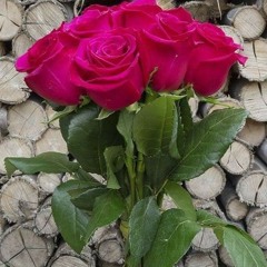 omaima