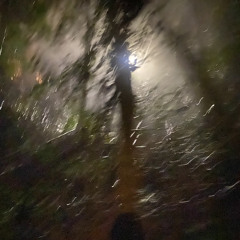 ce