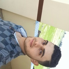 محمود الشيخ