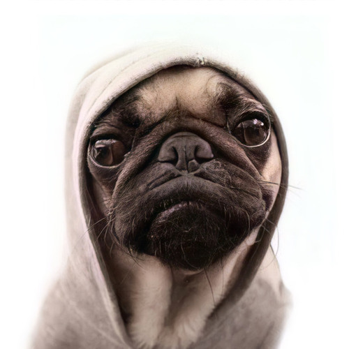 20181103 Yêu Xa - Bùi Anh Tuấn