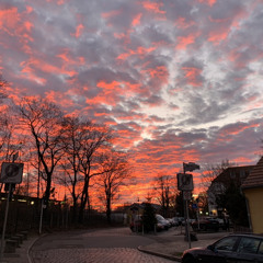 leonard_bln