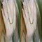 sanjin