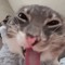 _lyx1